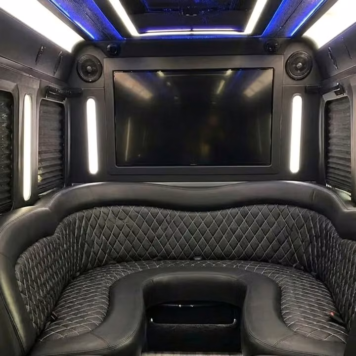 douglasville party bus sound system